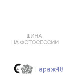 Michelin Pilot Alpin 5 ZP 225/50 R17 98H